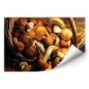 Poster autocollant - W - Panier de Champignons
