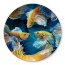 Tableau sur verre Egger - Poisson coloré