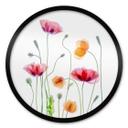 Póster redondo Amapolas de colores - Disher