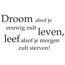 Muursticker Droom alsof je...