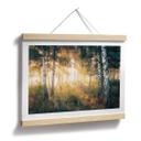 Plakat Solskin i birkeskoven - Kado