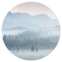 Vinilo decorativo Paisaje de bosque brumoso en otoño - Eisenmann - Redondo
