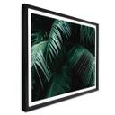 Póster Botánica tropical