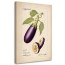 Canvasbillede, grøntsagshøst aubergine