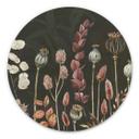 Tableau sur alu-Dibond rond Sir Edward - Olive Fleurs Séchées