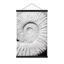 Tekstil plakat Fossil muslingeskal - Shot-by-Clint