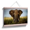 Poster - Ghizzi Panizza - Rencontres dans la savane