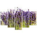 5 stykke lærredsprint, lavendel blomstrer natur