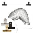 Póster Kvilis - Oso Yoga 01