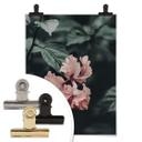 Poster Fleur tropicale