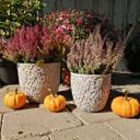 Betonnen Bloempot met Versiering