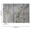 fototapet designwalls i grå og sort non-woven tapet Old Concrete Modern 