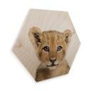 Hexagon Hout Sisi & Seb - Baby Lion