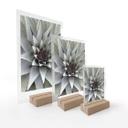 Borddisplay Agave 01