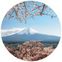 Fototapet - Rundt Colombo - Mount Fuji in Japan - vliesetapet/selvklæbende non-woven tapet