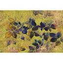 Livingwalls Fototapet Walls by Patel 2 indian summer 1