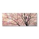 Akrylbillede Coleman - Primavera - Panorama