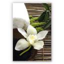Tableau Forex - Wellness Orchidee