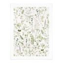 Plakat Urter og vilde blomster - UN Designs