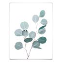 Plakat - Sisi & Seb - Blå eucalyptus