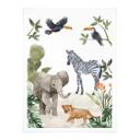 Póster Goed Blauw - Bebés de la selva