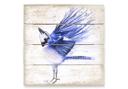 Cuadro de madera Müller - Herrerillo azul - 40x41,5 cm