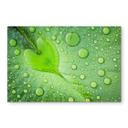 Crédence Foto - Cœur de goutte d'eau sur feuille verte