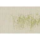 Fotomural Paredes de Patel 3 At The Pond 1 verde, beige