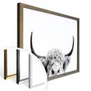 Plakat - Sisi & Seb - Bull
