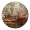 Wandcirkel van Dongen - Frosted Forest