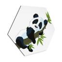 Hexagone - alu-Dibond Panda endormi