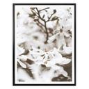 Póster Annie - Jasmine