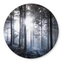 Tableau sur verre  Rayons de soleil dans la forêt bleue - Rond