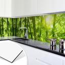 Revêtement pour cuisine - Alu-Dibond - Rayon de soleil dans la forêt de bambous