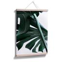 Plakat - Urban Jungle 02 - Monstera Deliciosa