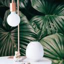 Fototapet Urban Jungle - Alokasie Calidora - 144x260 cm