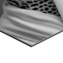 Royale spa time-out med leopard - Rahner – print på aluminium (Alu-Dibond)