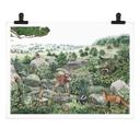 Póster Kikki Belle - Paseo por el bosque