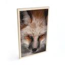 Cuadro de madera retrato animal zorro rojo - Nagi