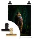 Poster Yunta - Dans la jungle