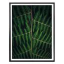 Plakat - Botanical 03
