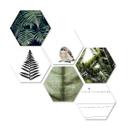 Hexagon - Alu-Dibond - Natürliche Vielfalt (6-teilig)