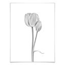 Póster Grønkjær - Tulipanes
