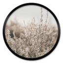 Plakat Annie - Grass