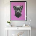 Plakat - Korenkova - King French Bulldog Pink