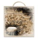Cuadro de madera Diente de león - 40x41,5 cm