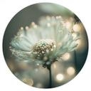 Delikat glitrende blomster Wallsticker - Treechild - Rund