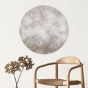 Wanddecoratie Paardenbloemen Droom in Beige - Ms Tiff - Alu-Dibond Rond