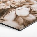 Hexagone - Alu-Dibond Annie - Fleurs en velours