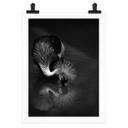 Póster Tjandra - Reflejo de pájaro - blanco y negro